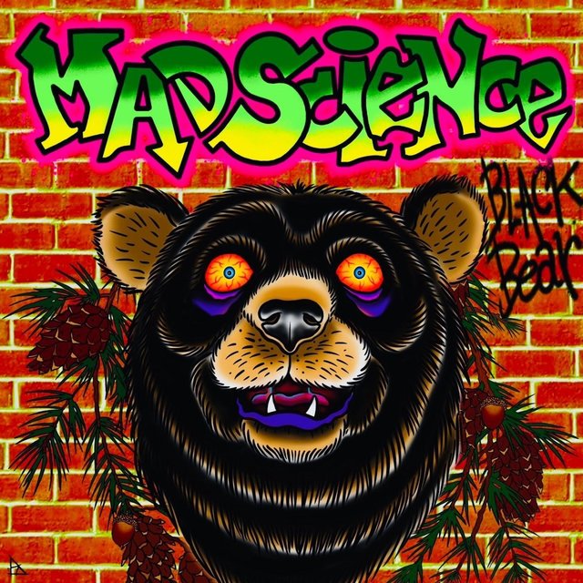 Black Bear