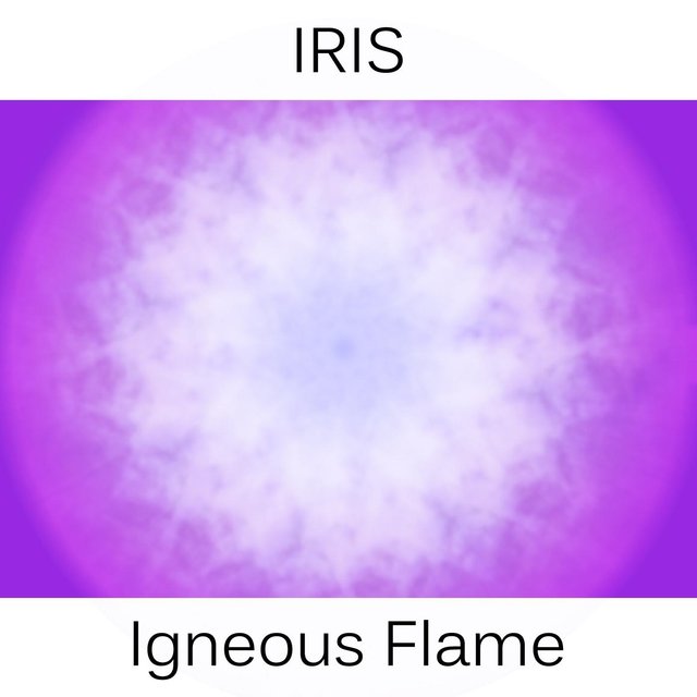 Iris