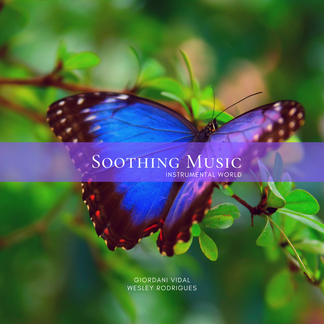 Soothing Music, Vol. 5