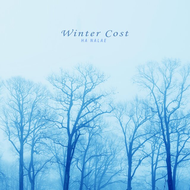 Winter Cost