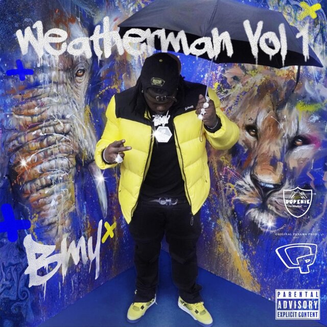 Weatherman, Vol. 1