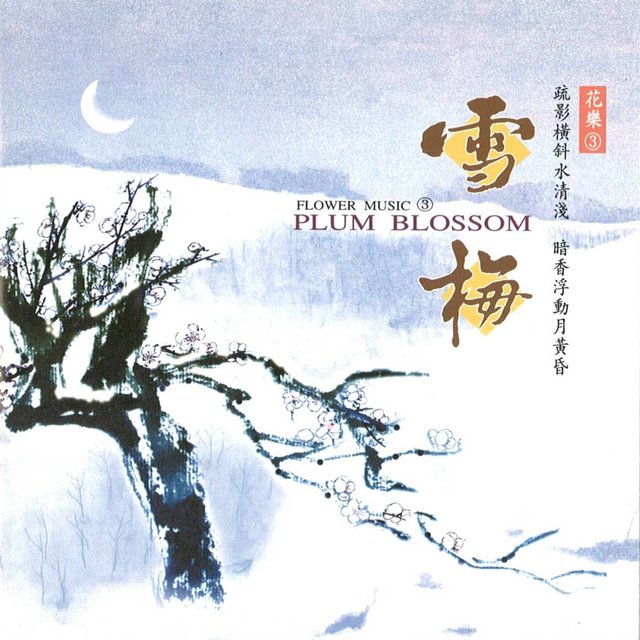 Plum Blossom