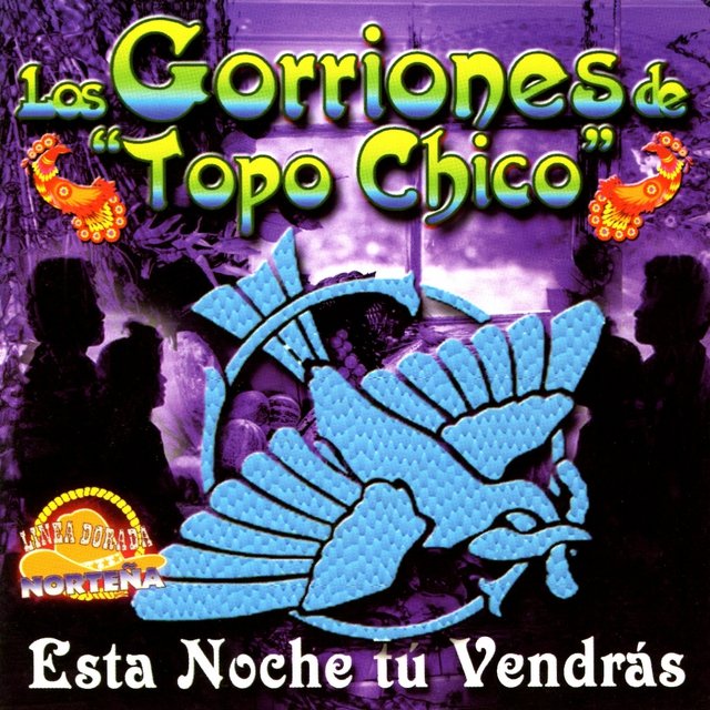 Esta Noche Tú Vendrás