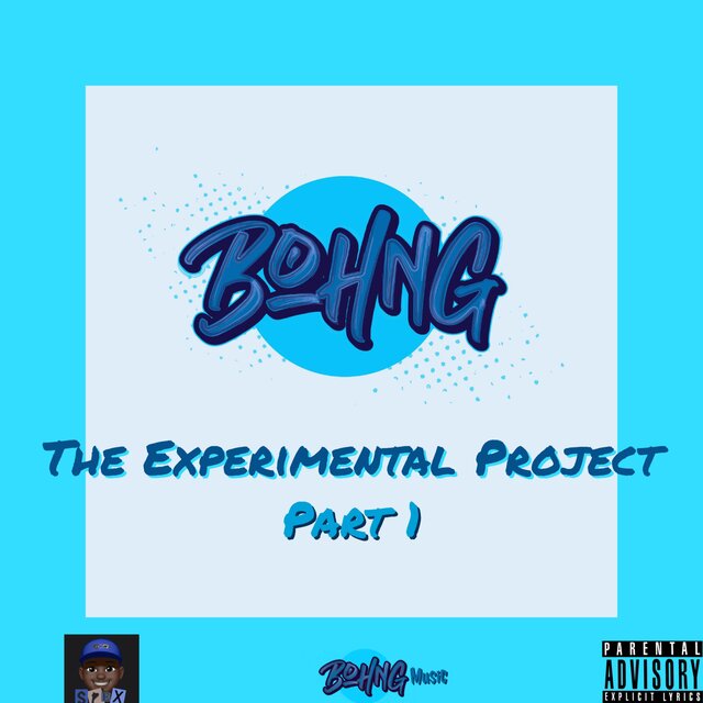 BOHNG: The Experimental Project. Part 1