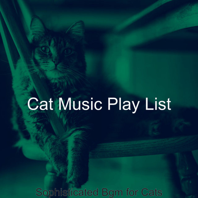 Sophisticated Bgm for Cats