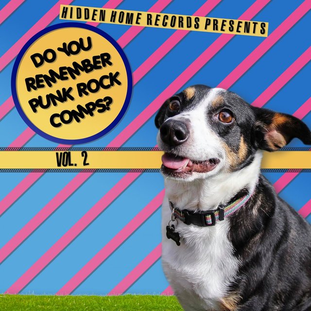 Do You Remember Punk Rock Comps? Vol. 2