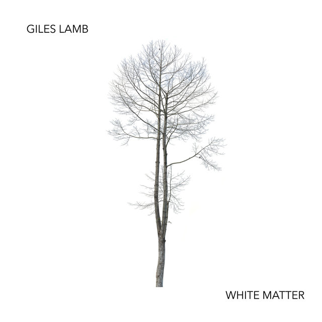 White Matter