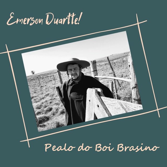 Pealo do Boi Brasino