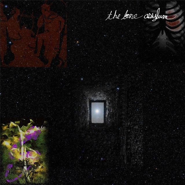 The Bone Asylum