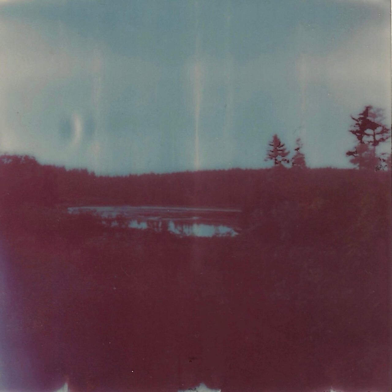 "Blue Anymore" by Michael Nau