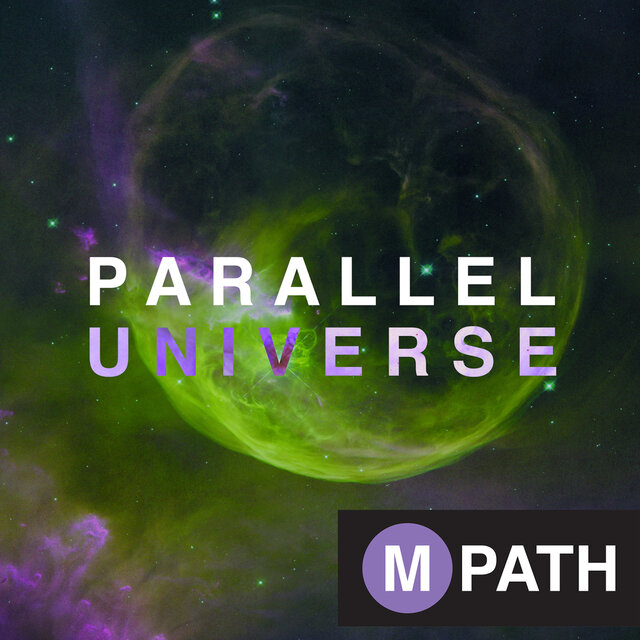 Parallel Universe