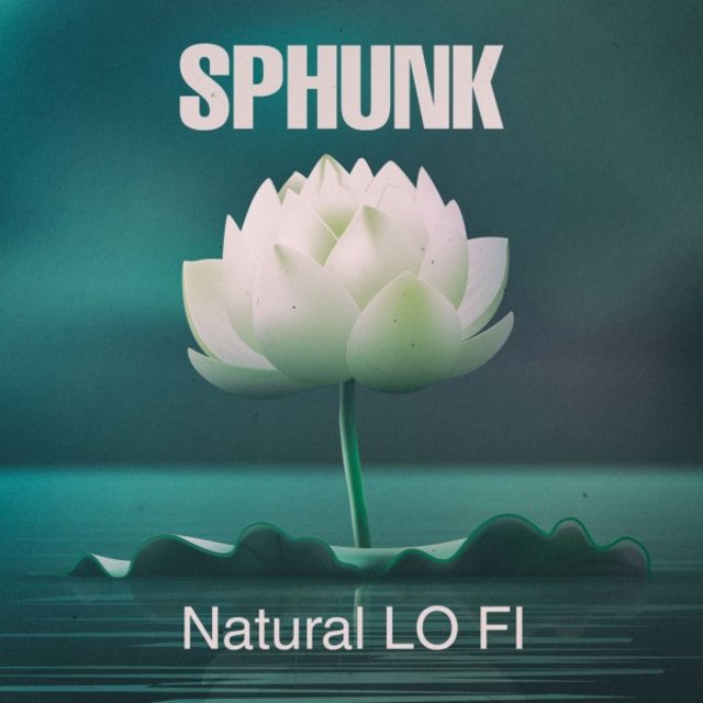 Natural Lo Fi