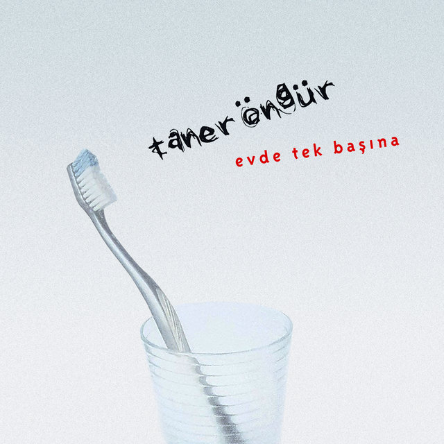 Evde Tek Başına