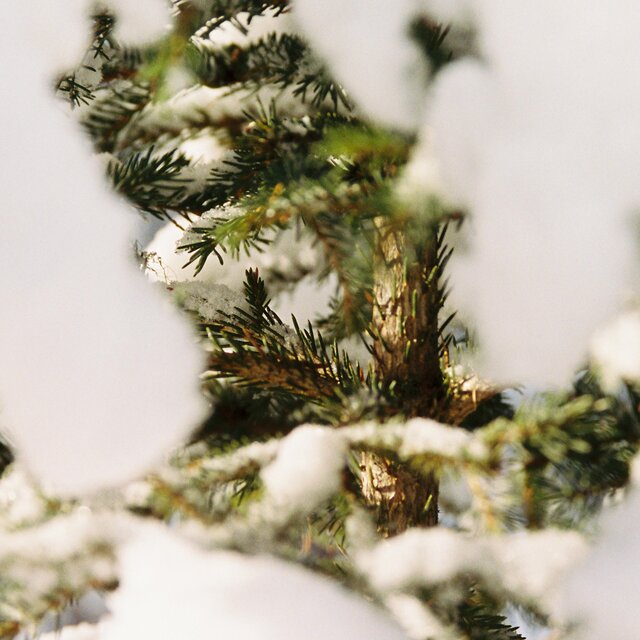flurries