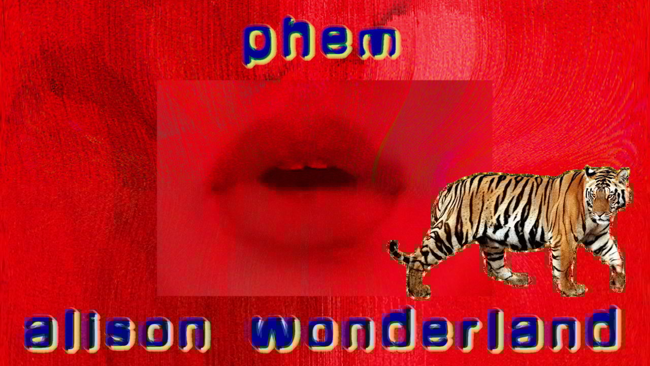 W.W.C.B.D.