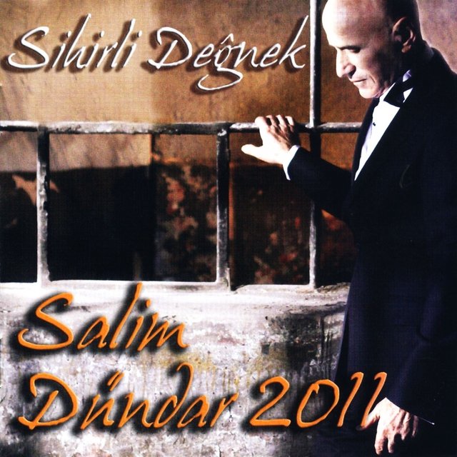 Sihirli Değnek (2011)