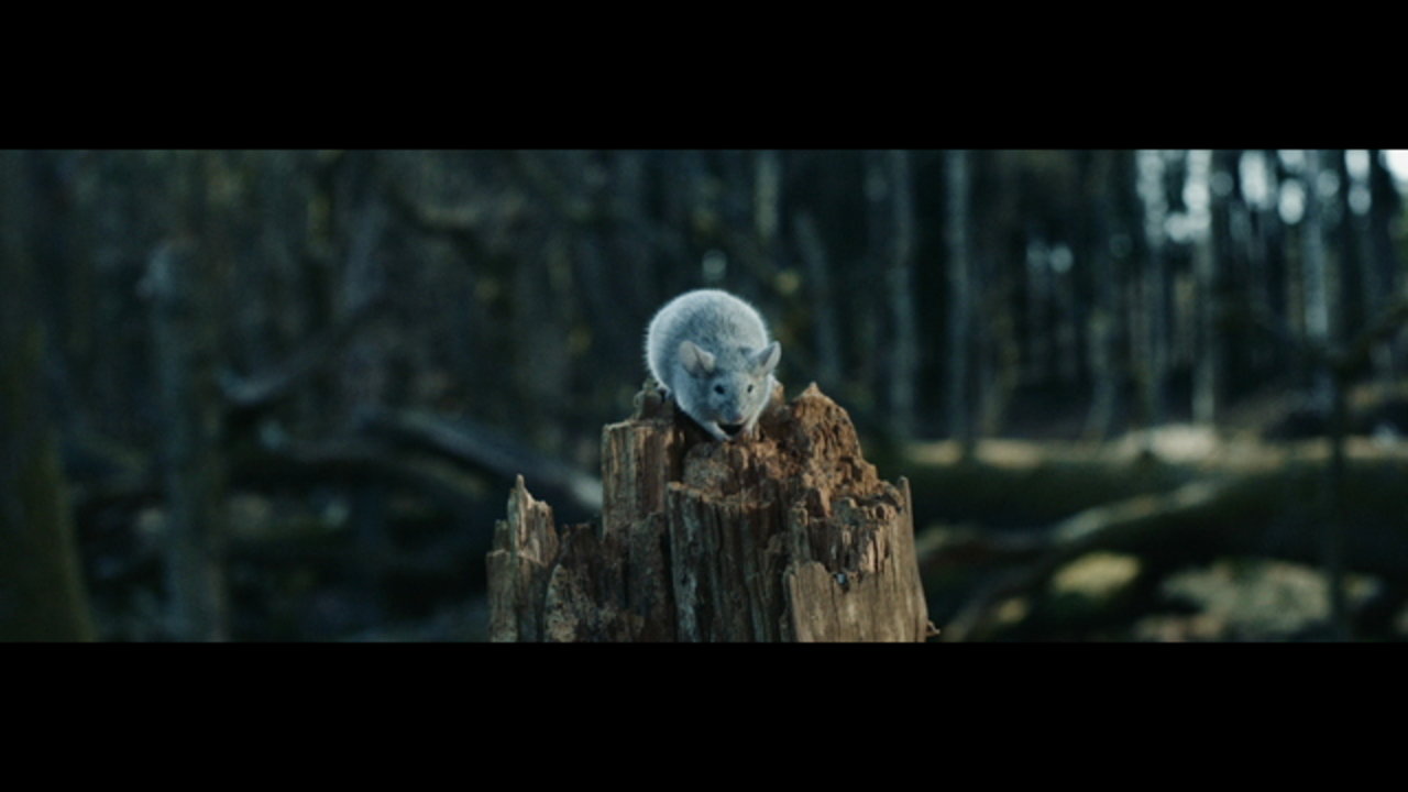 In Cold Blood