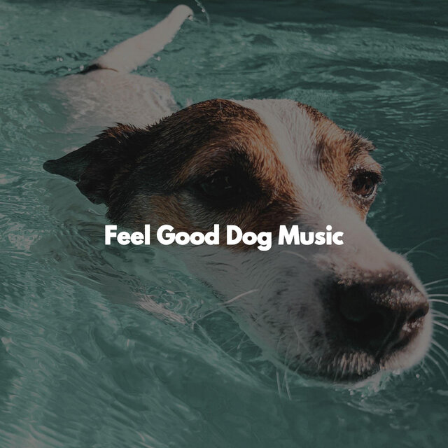 Feel Good Dog Music