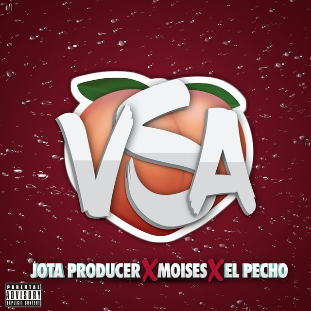 Vsa