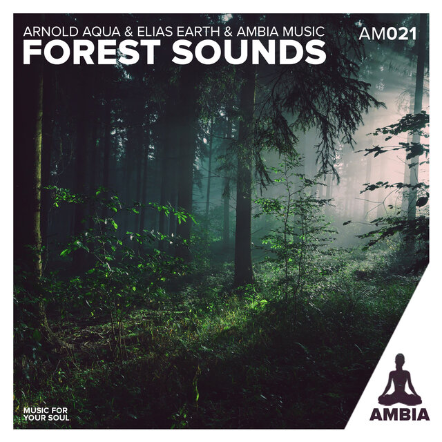 Forest Sounds