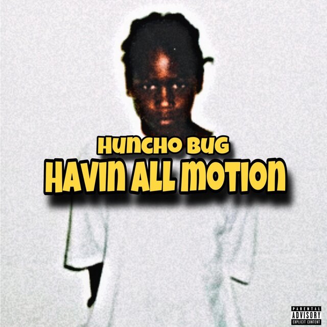 Havin All Motion