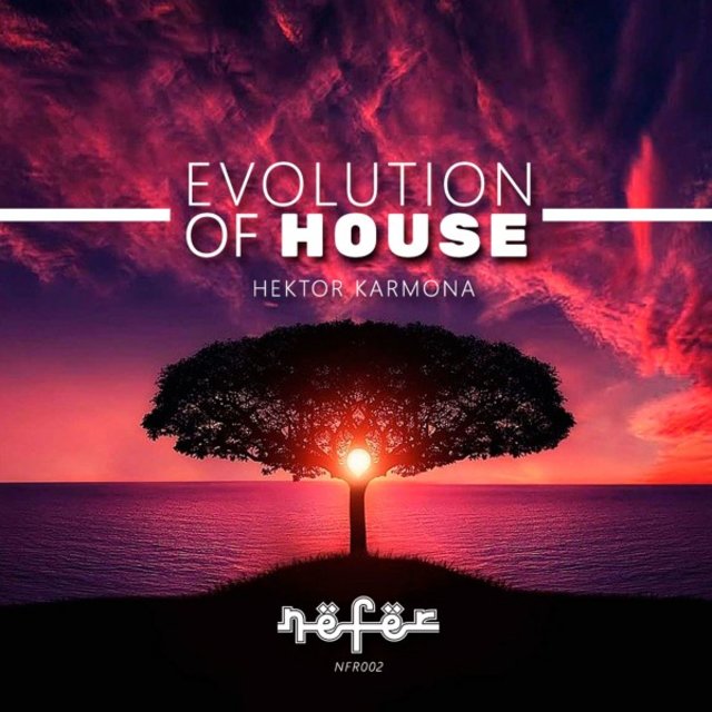 Evolution of House (Extended Mix)