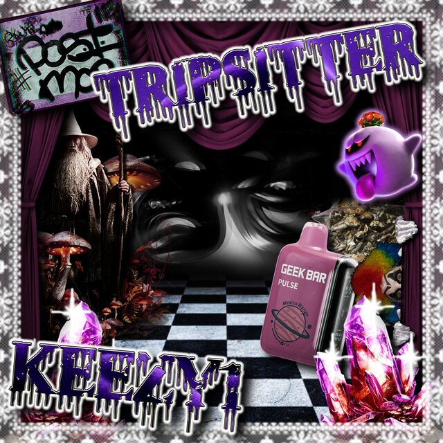 TRIPSITTER