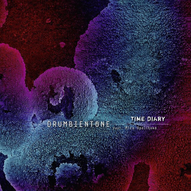 Time Diary