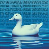 desde que te fuiste
