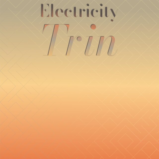 Electricity Trin