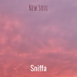 New Soul