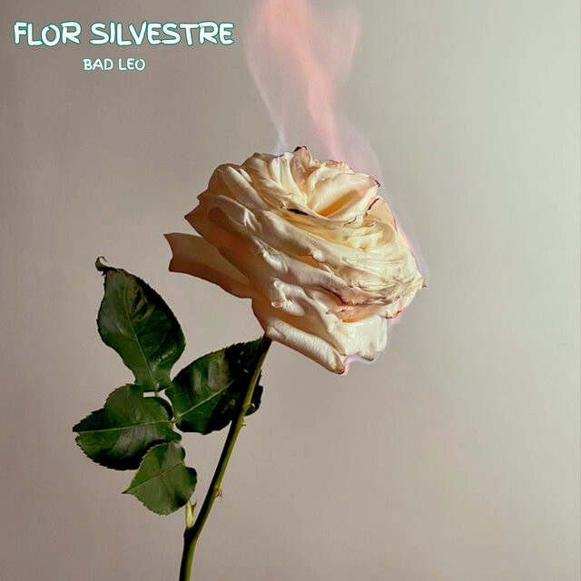 Flor Silvestre