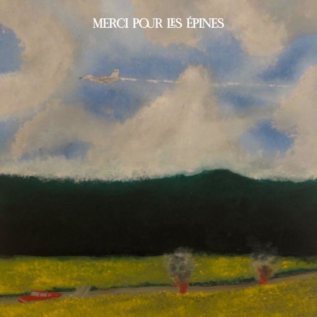 MERCI POUR LES ÉPINES
