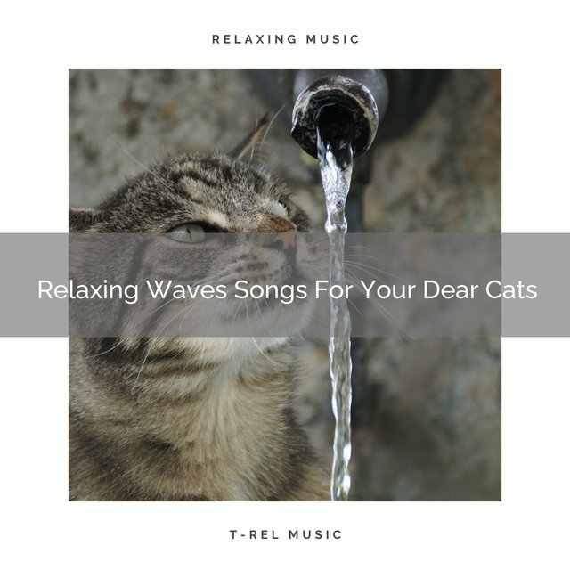 Relaxing Waves Songs For Your Dear Cats