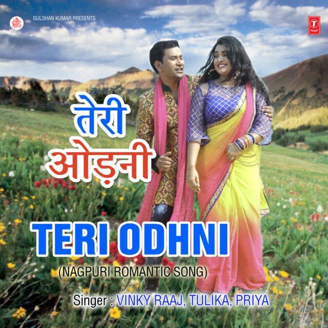 Teri Odhni