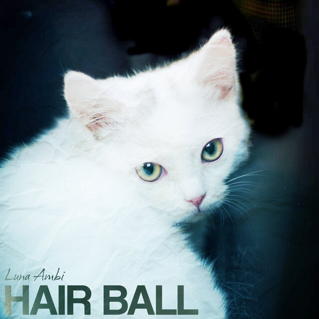 Hair Ball
