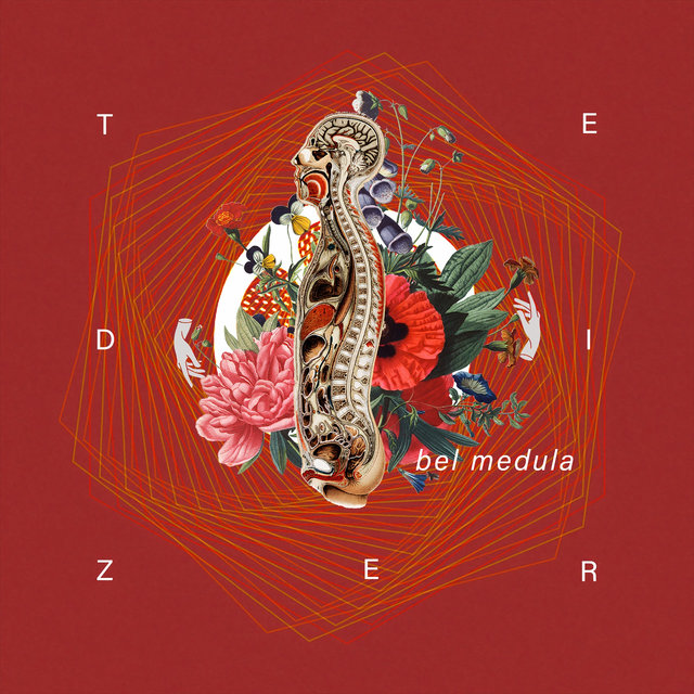 Te Dizer