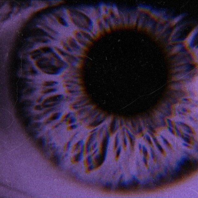 Eye To Eye
