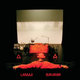 Cover art for album Professional Sunflow by Laraaji, Sun Araw