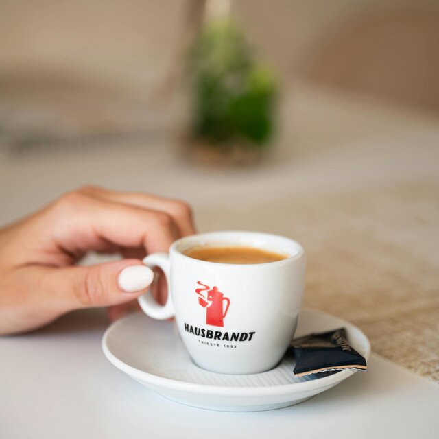August Breeze Jazz | Mellow Acoustic Jazz for Morning Focus & Relaxation