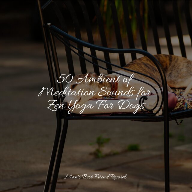 50 Ambient of Meditation Sounds for Zen Yoga For Dogs