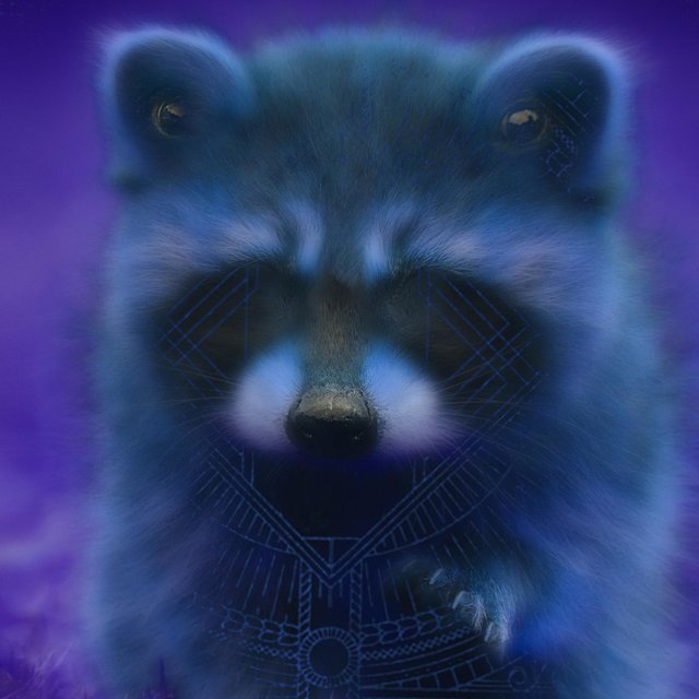 Mapupu