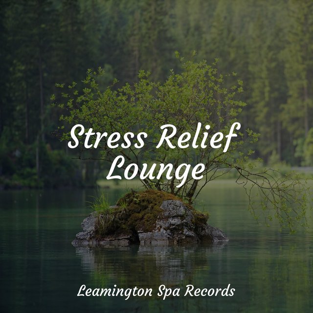 Stress Relief Lounge