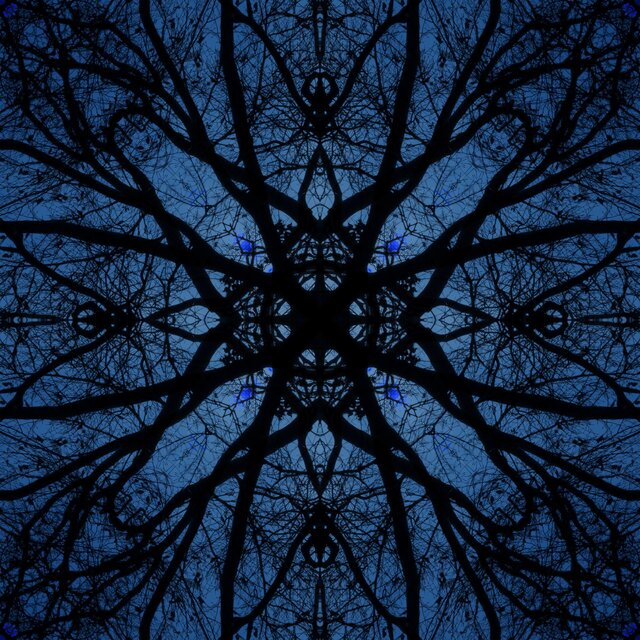 Memory Folds