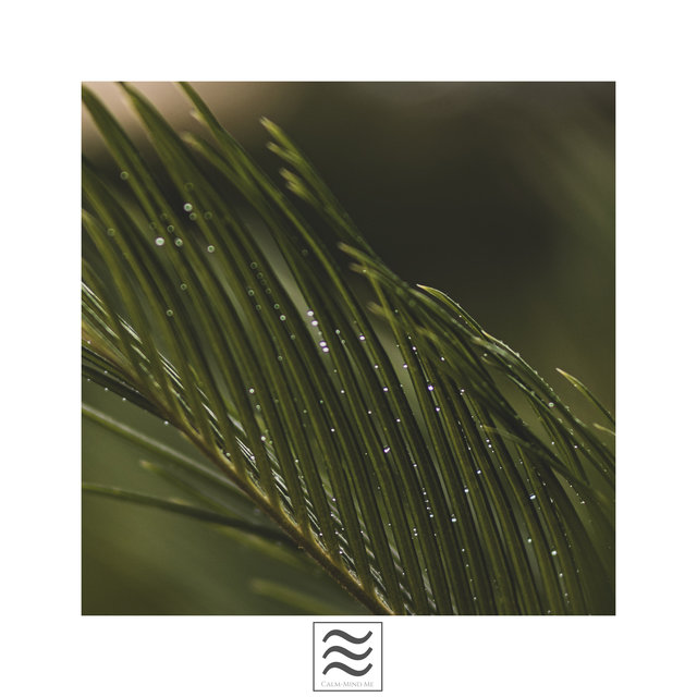 Slaphappy sounds of calm rain