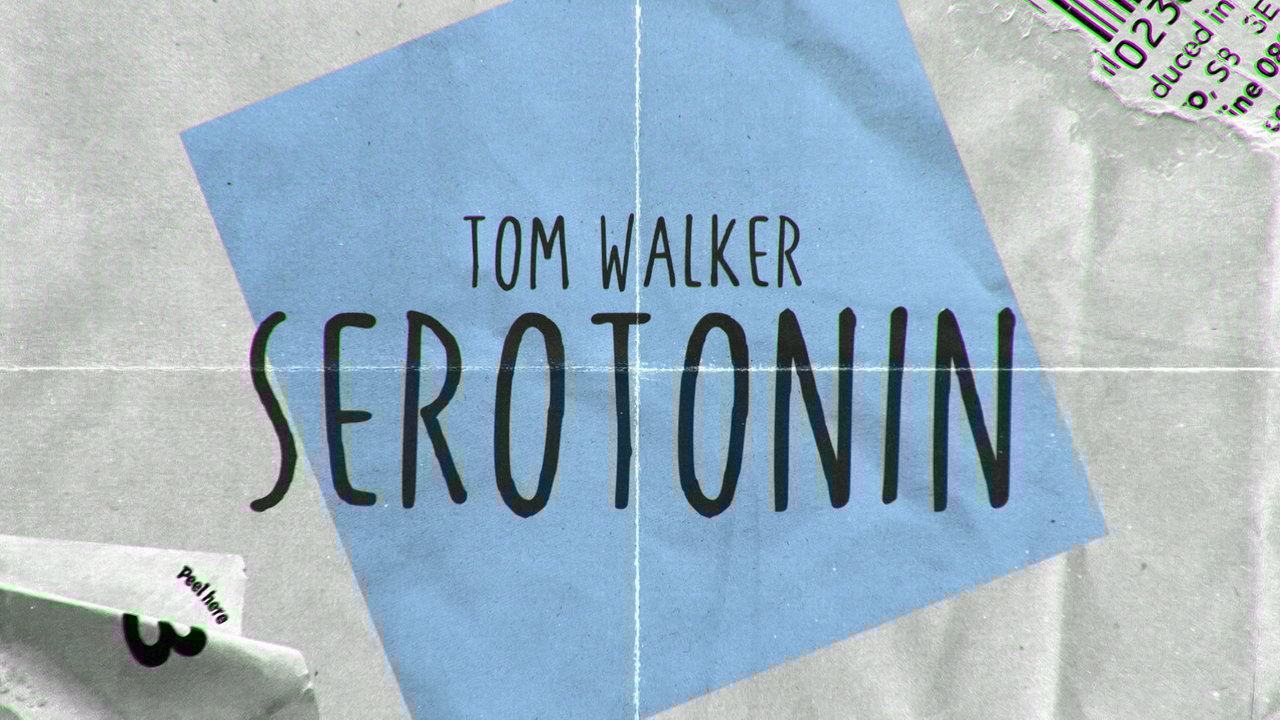 Serotonin (Acoustic - Lyric Video)