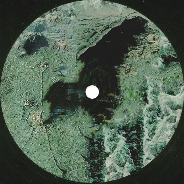 Coniferous.Ep