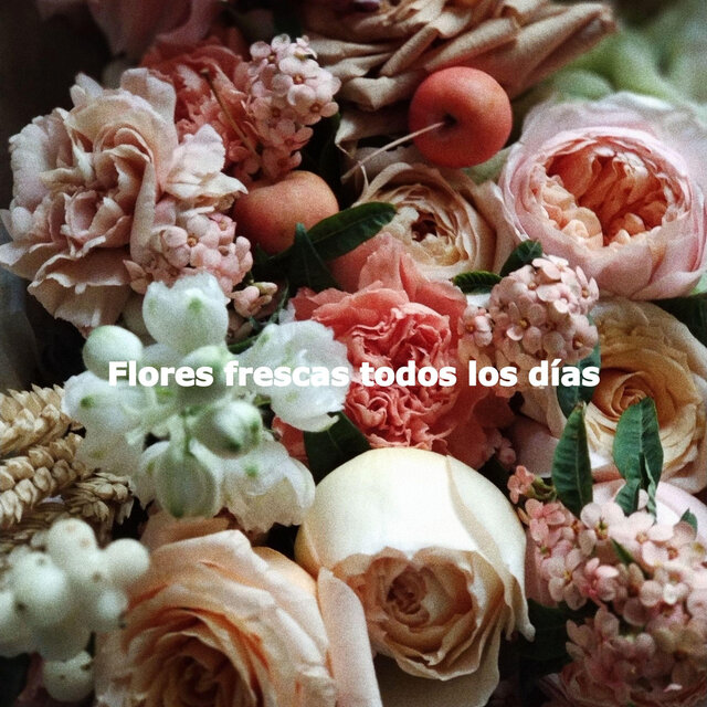 Flores frescas todos los días