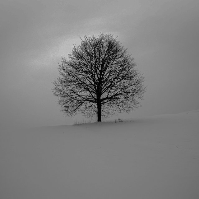 Ephemeral
