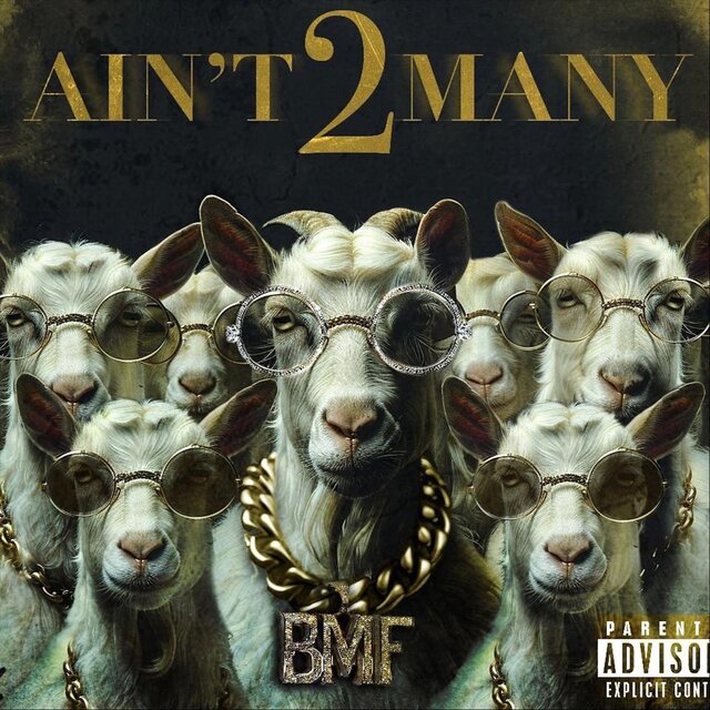 Ain't 2 Many